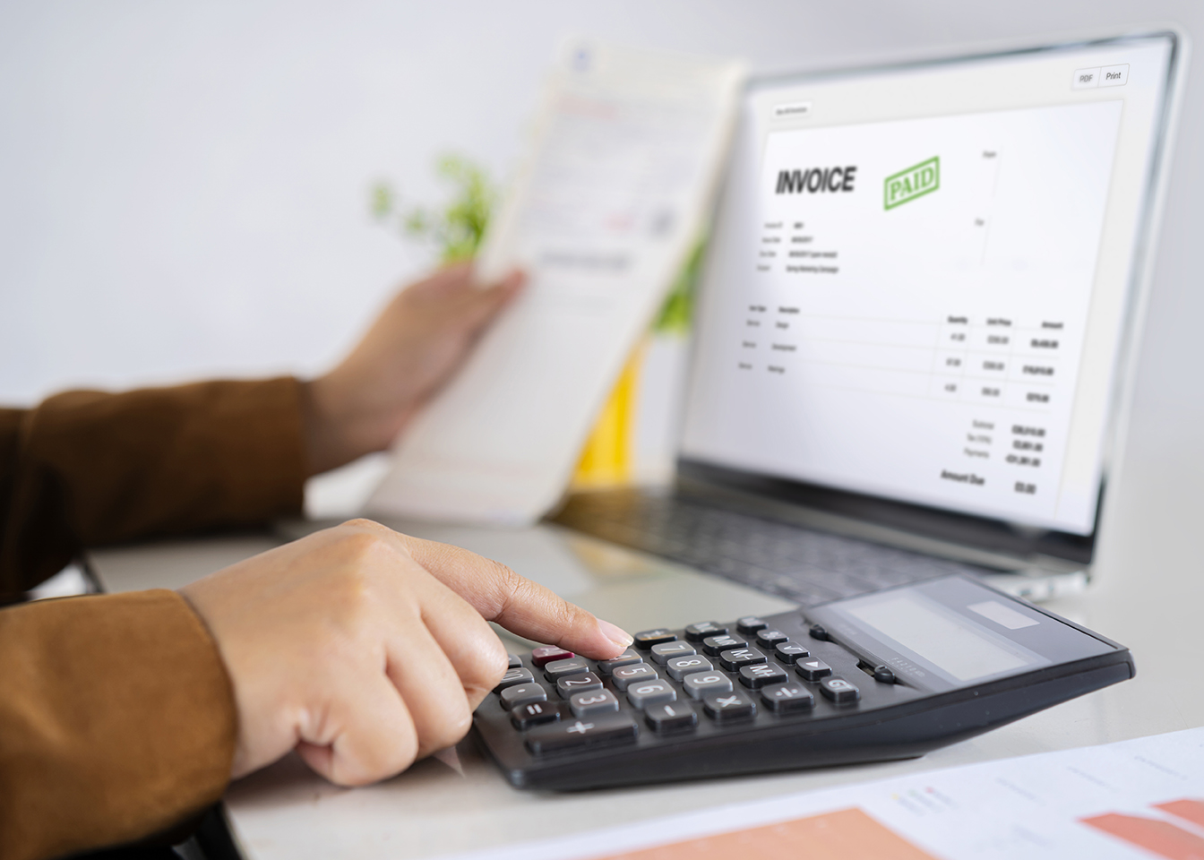 E Invoice And Digital Receipt Statements